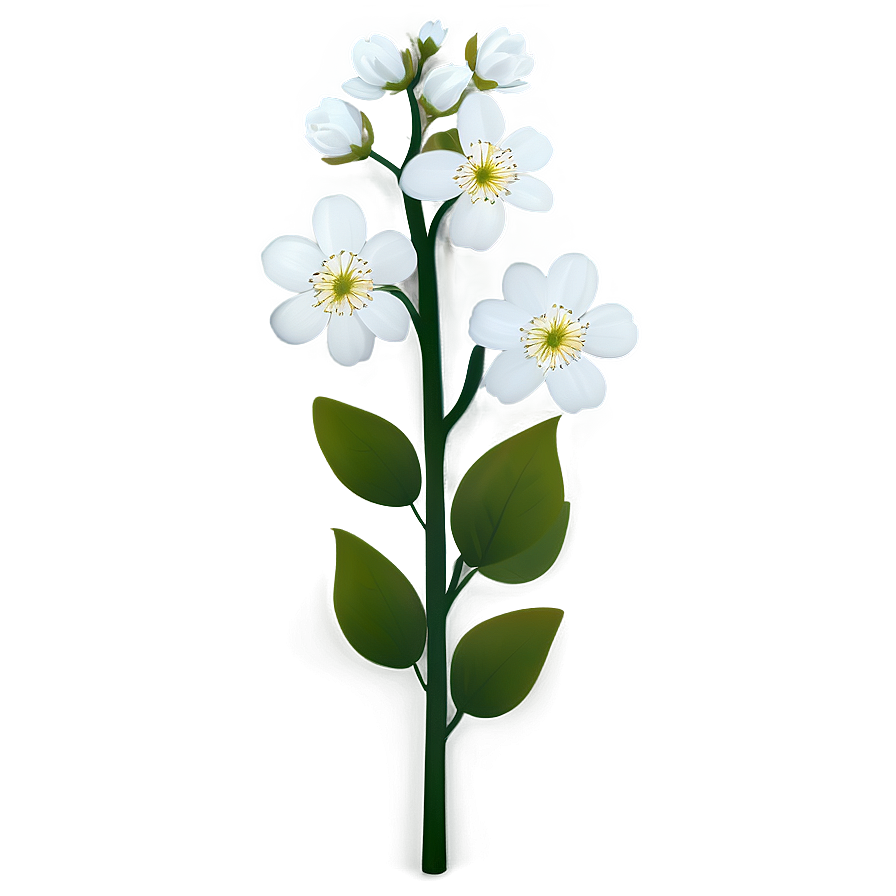 White Blossom Flower Png Jux