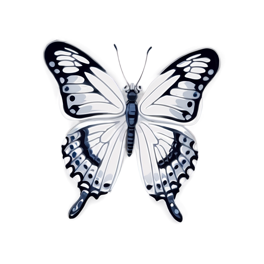 White Butterfly Drawing Png Lif81