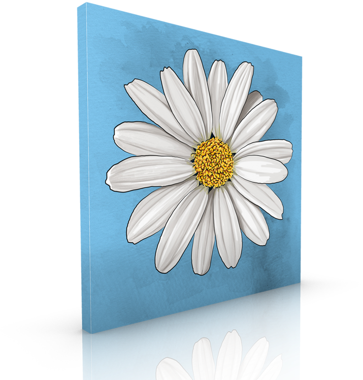 White Daisy Blue Background Art