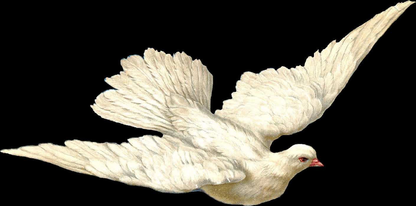 White Dovein Flight