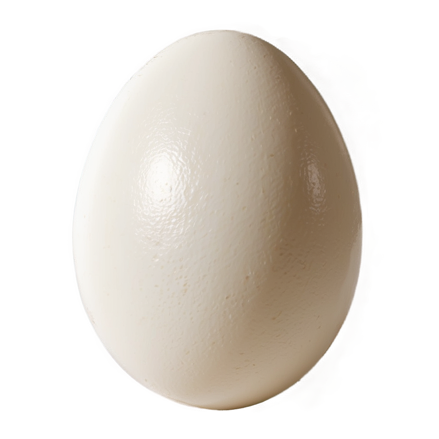 White Egg C