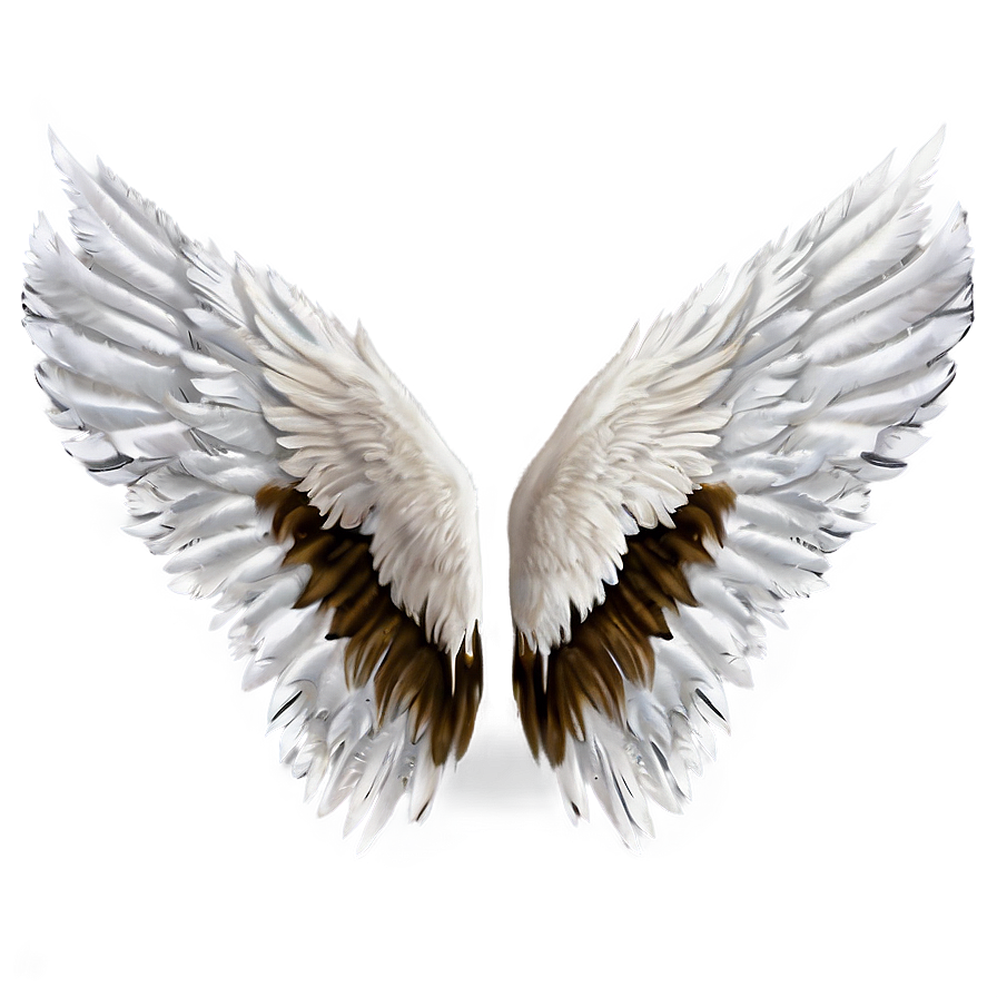 White Feather Wings Png 06262024