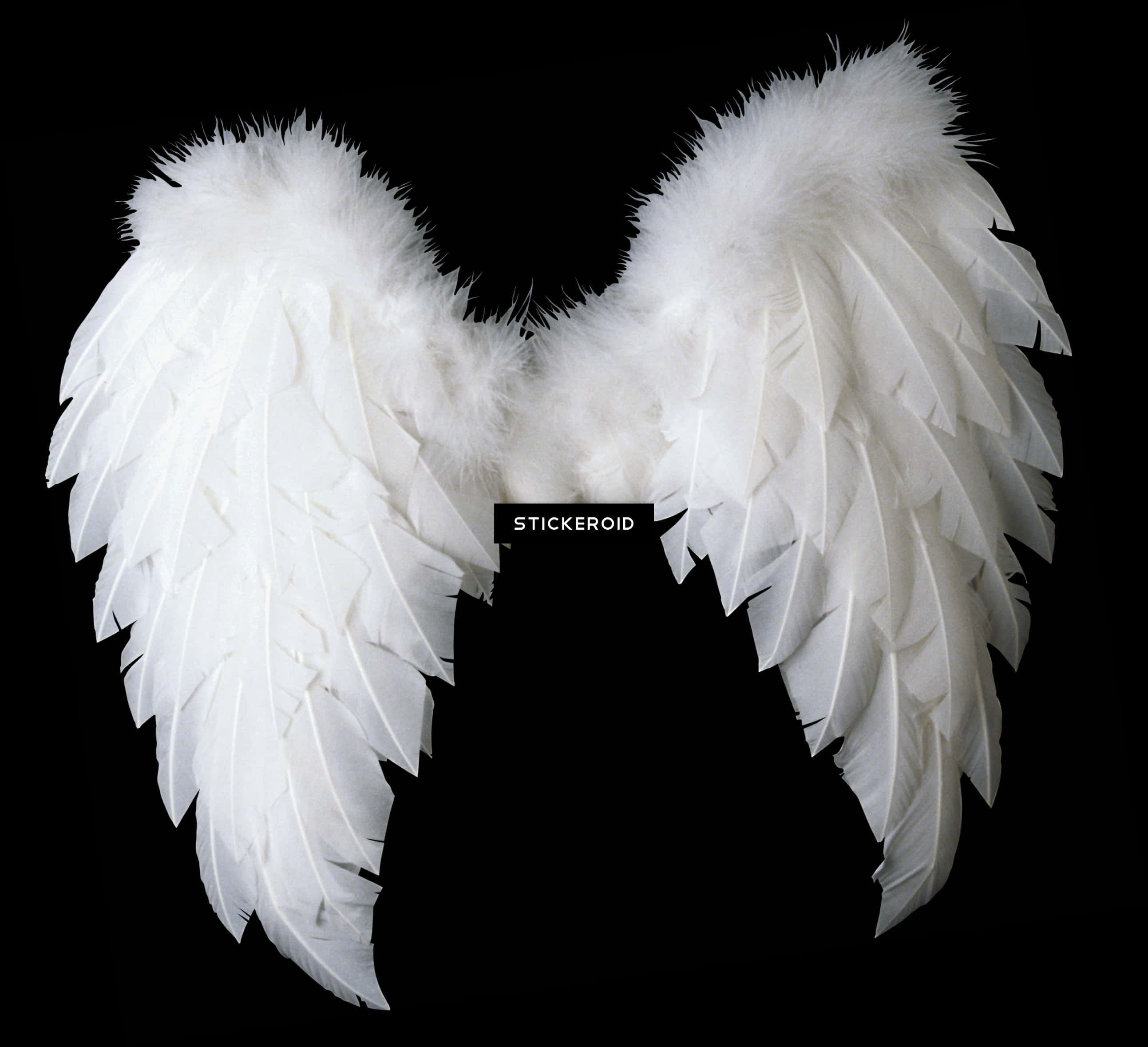 White Feathered Angel Wings