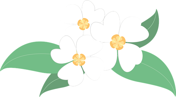 White Floral Vector Illustration