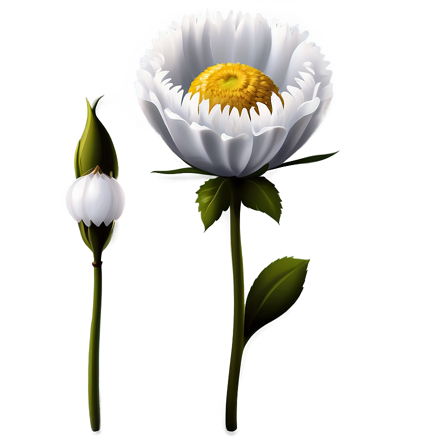 White Flower Clipart Png Gdl93