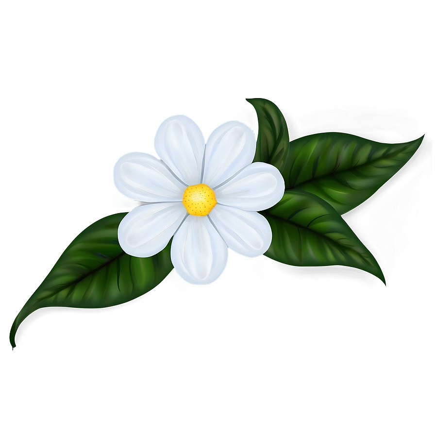 White Flower Design Png Cjd4