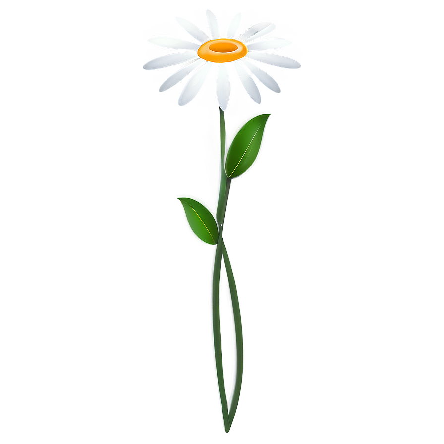 White Flower Illustration Png 05242024