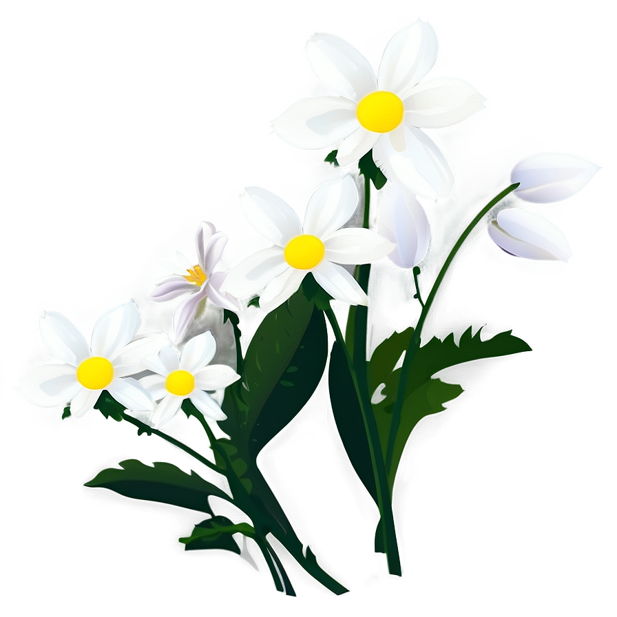 White Flower Silhouette Png Pvq3