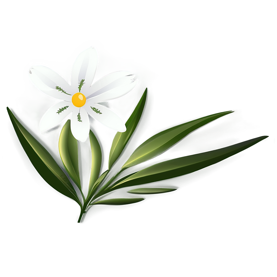 White Flower Symbol Png Dry