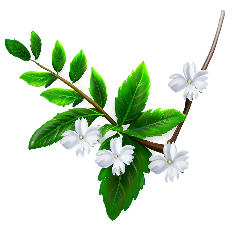 White Flower Theme Png 05242024