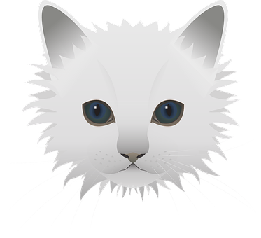 White Fluffy Cat Illustration