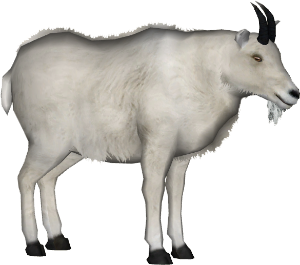 White Goat Profile Graphic