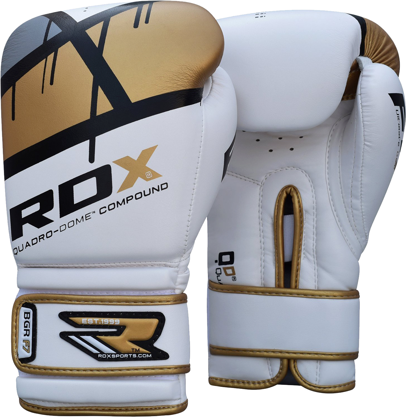 White Gold Boxing Gloves