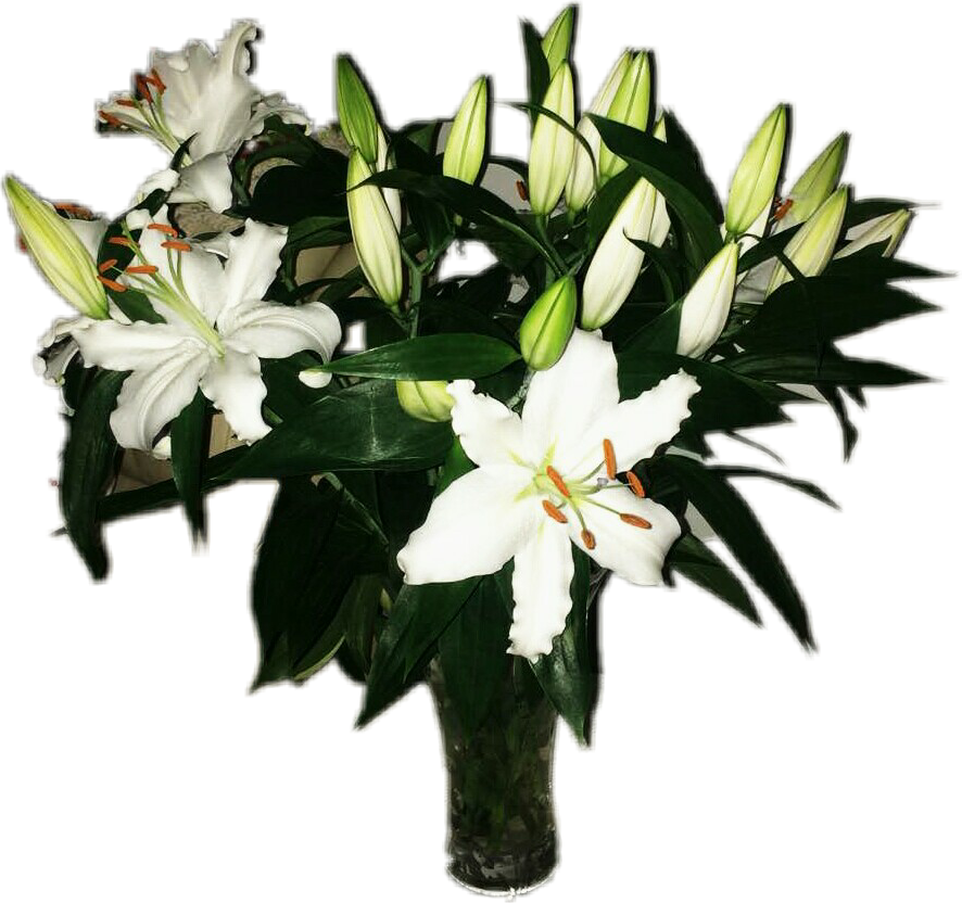 White Lily Bouquet Transparent Background