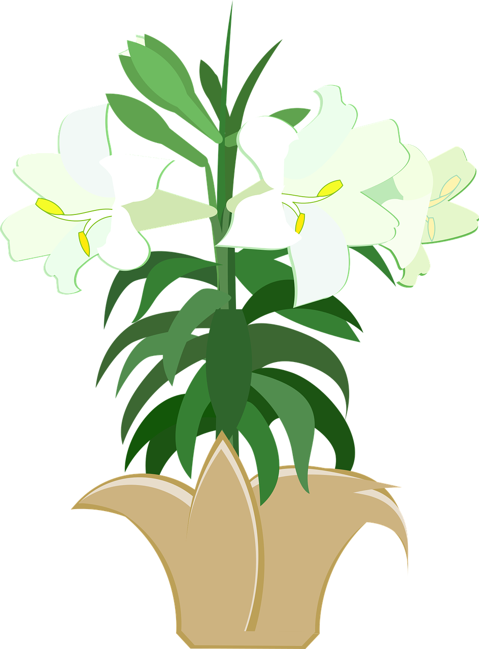 White Lily Plant Illustration