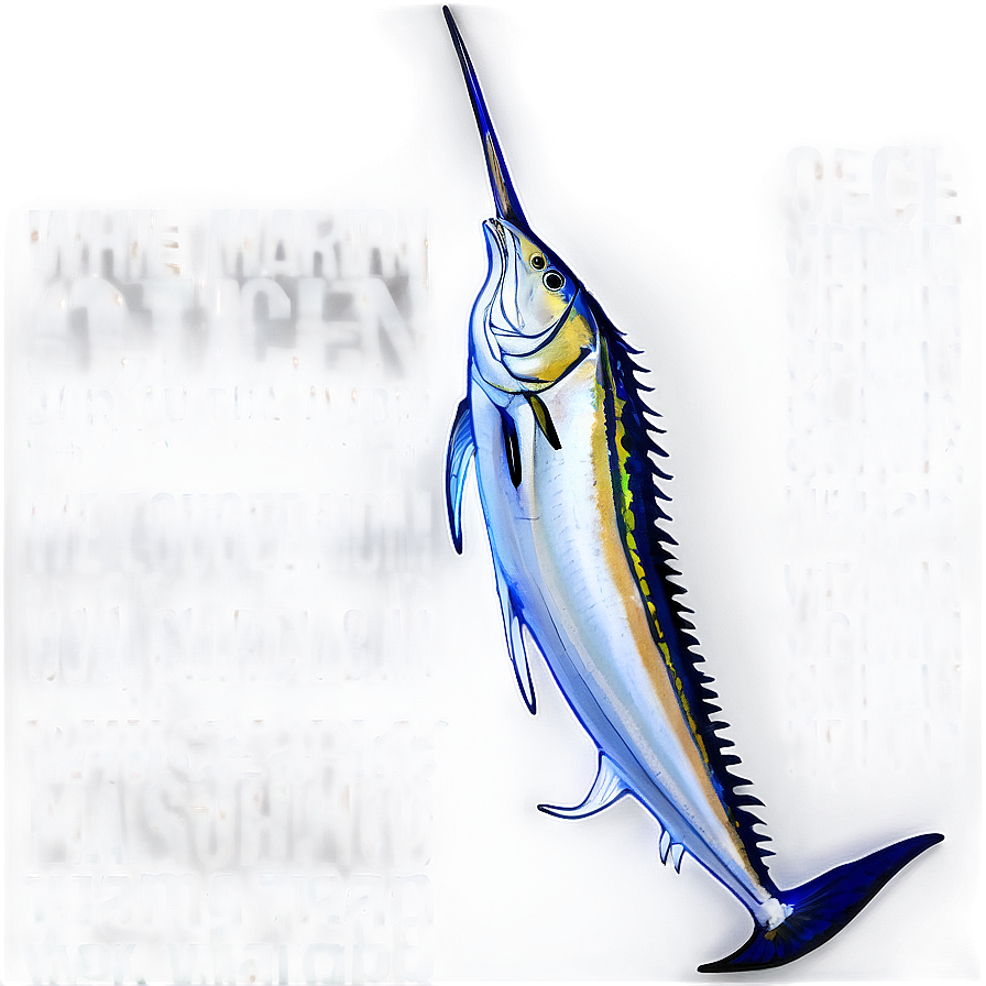 White Marlin Open Png Ypl