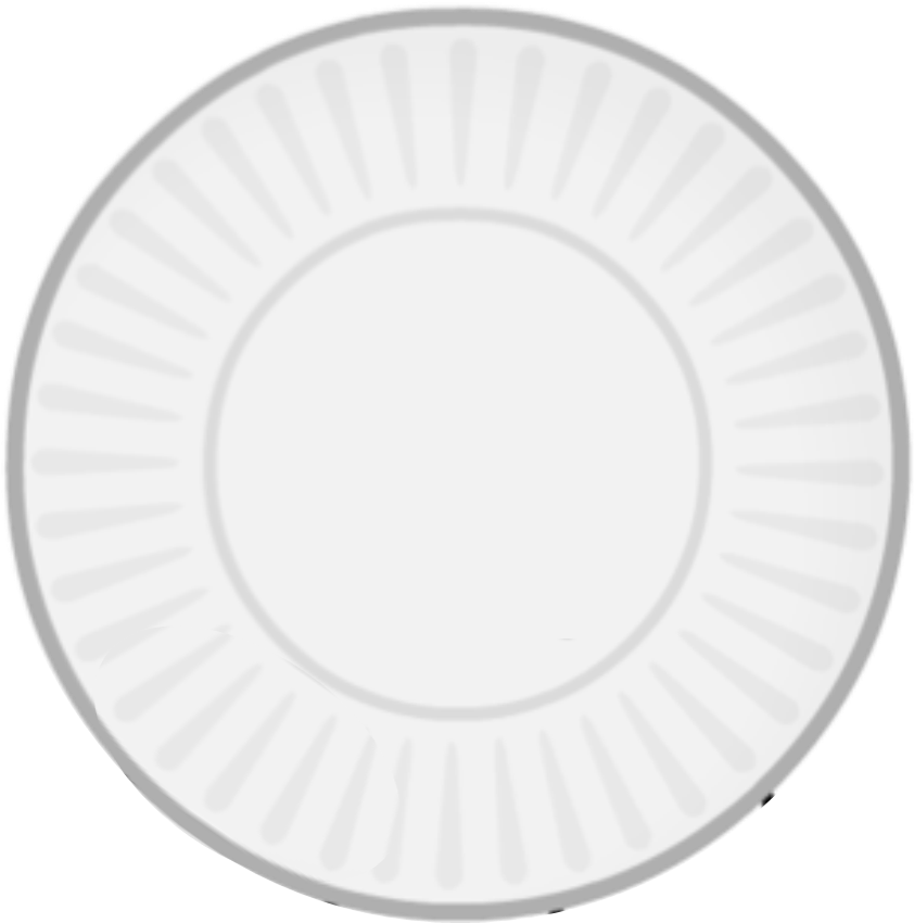 White Paper Plate Top View