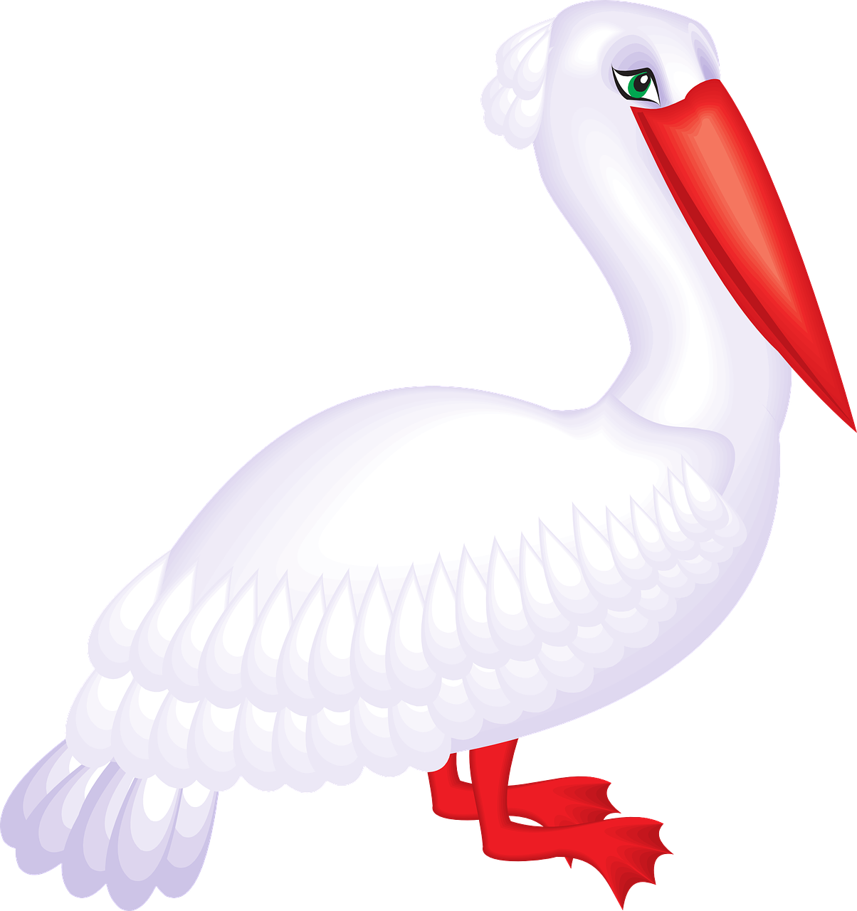 White Pelican Cartoon Illustration