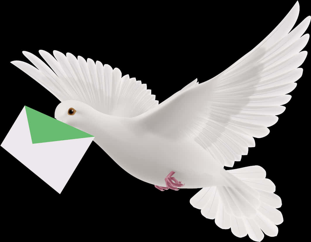 White Pigeon Carrying Letter