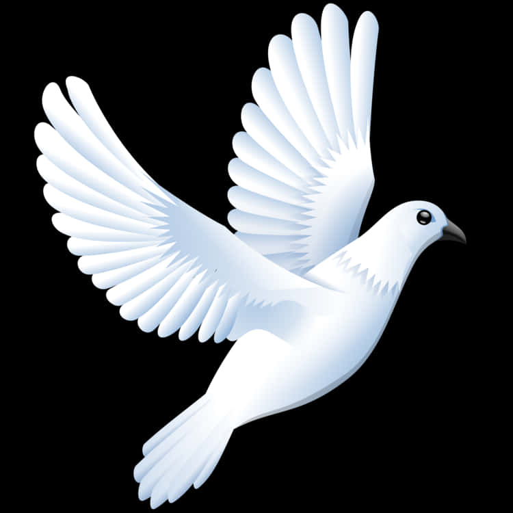 White Pigeon In Flight Illustration