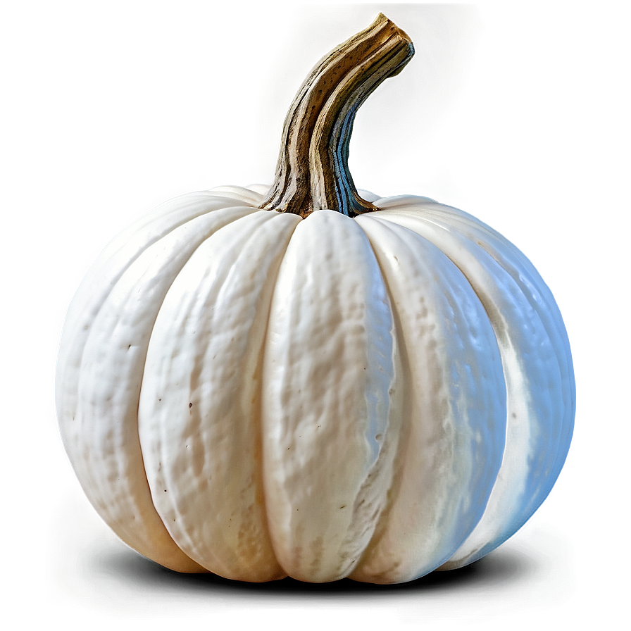 White Pumpkin Background Png 06212024