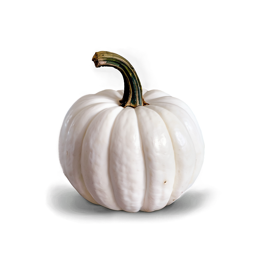 White Pumpkin Display Png Smk6