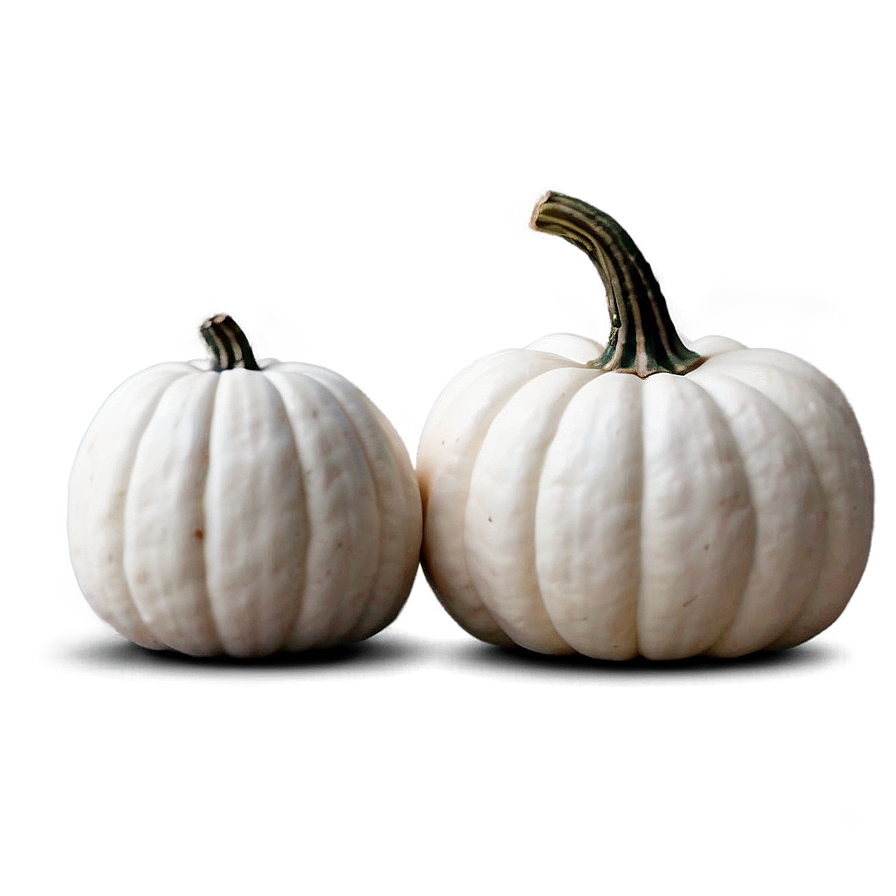 White Pumpkin For Fall Png Jwr7