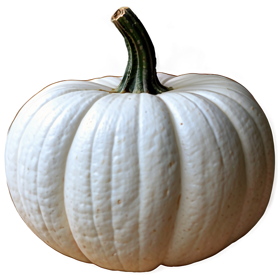 White Pumpkin Outline Png Sne41