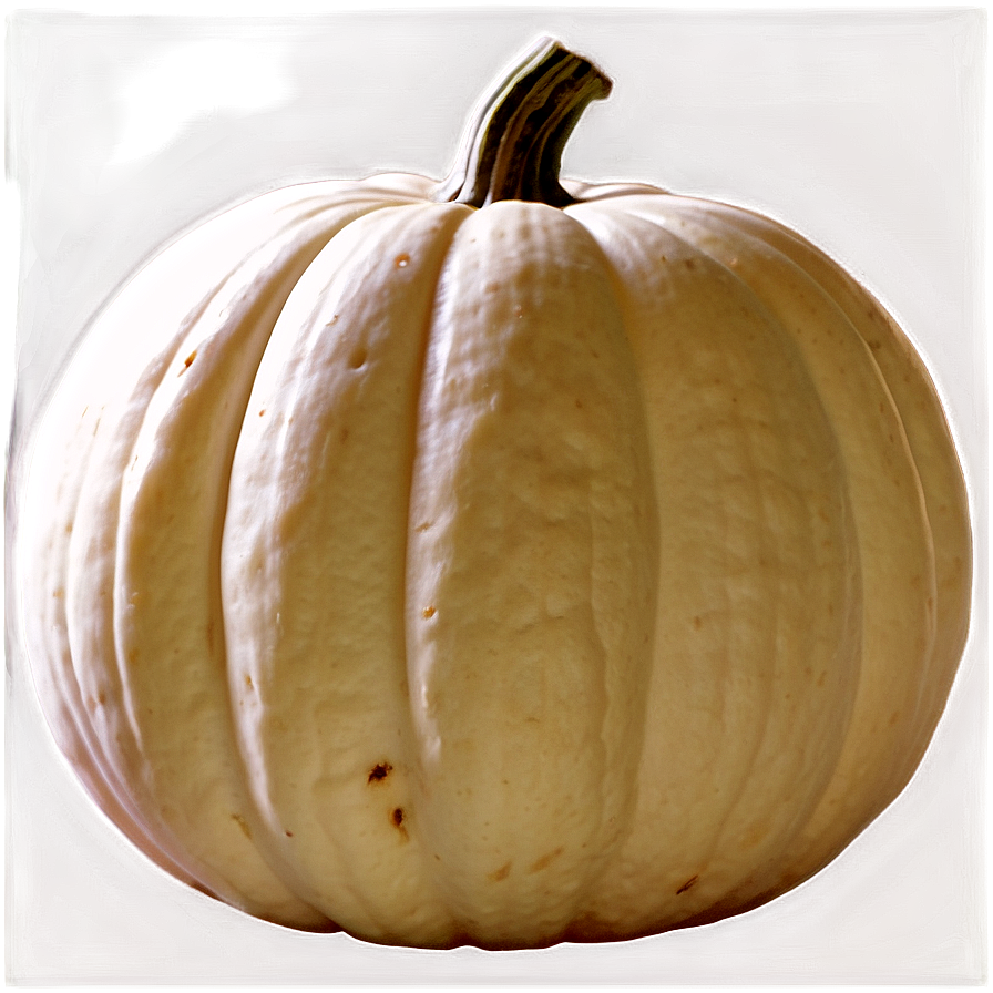 White Pumpkin Png 06212024