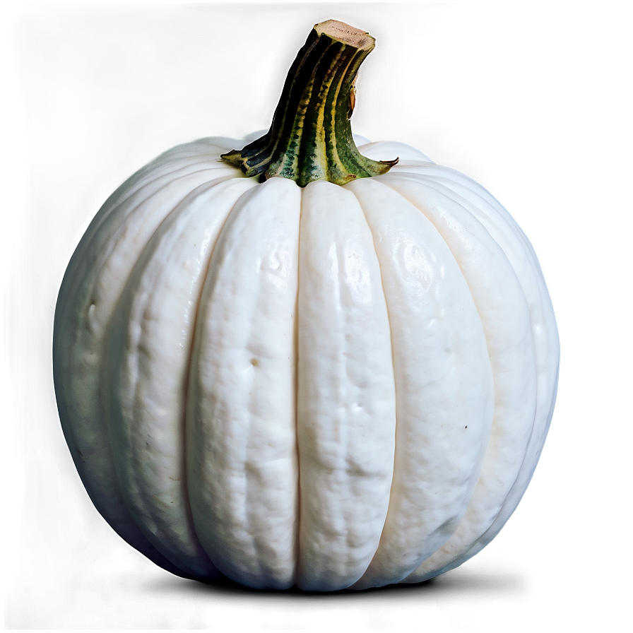 White Pumpkin Png 3