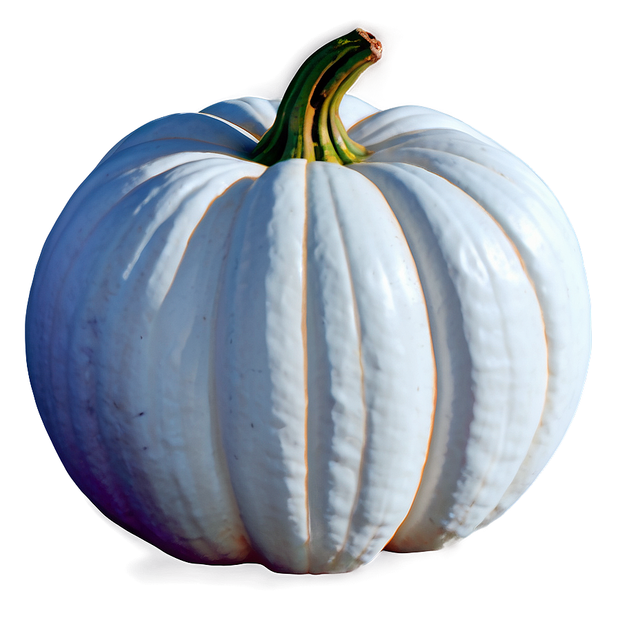 White Pumpkin Printable Png Qjk