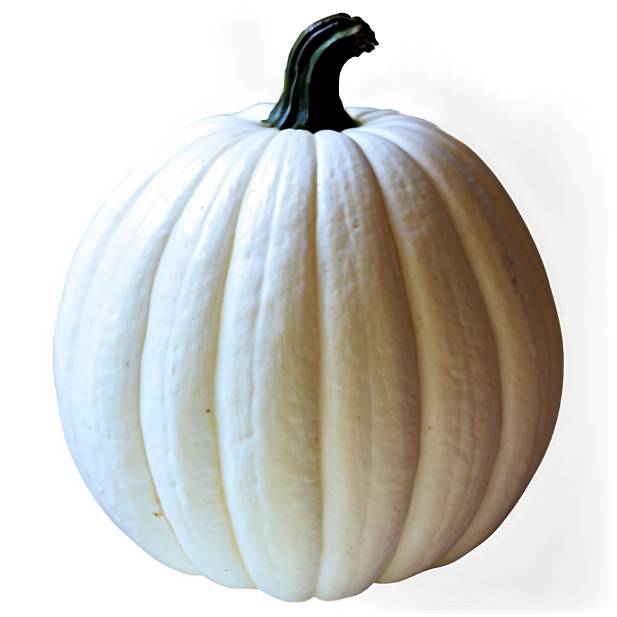 White Pumpkin Silhouette Png 4