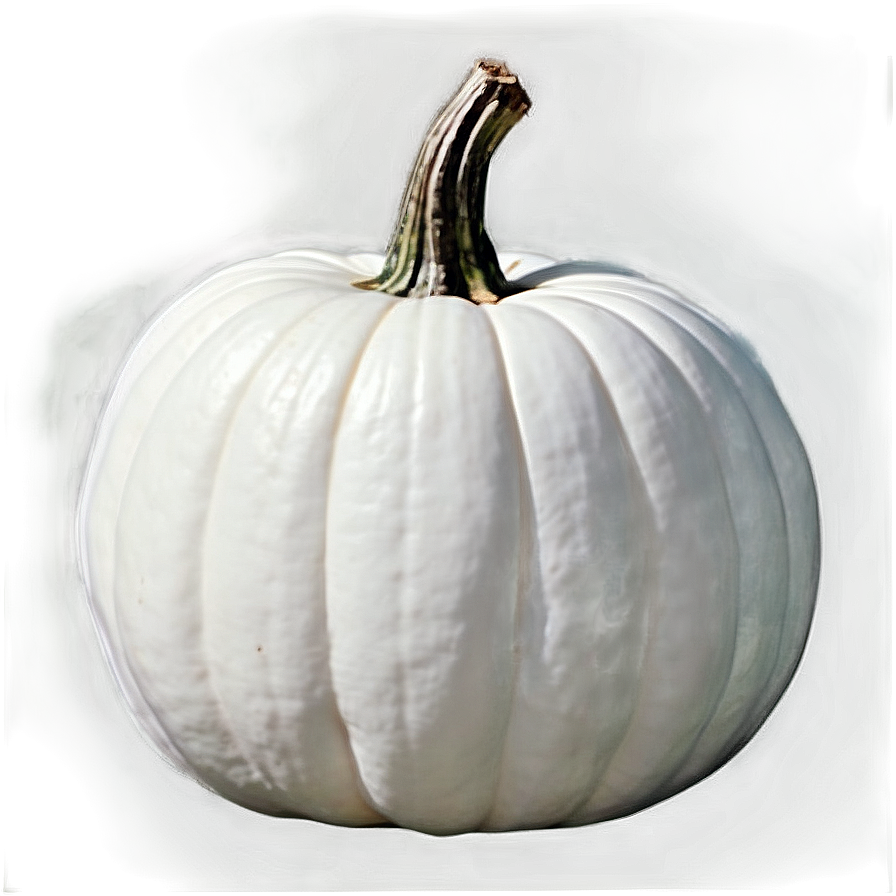 White Pumpkin Template Png Pia