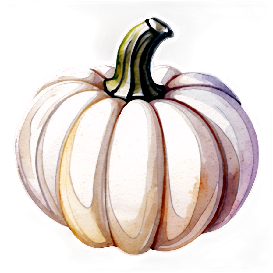 White Pumpkin Watercolor Png 06212024