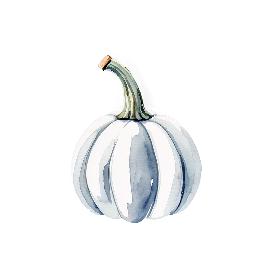 White Pumpkin Watercolor Png Isw