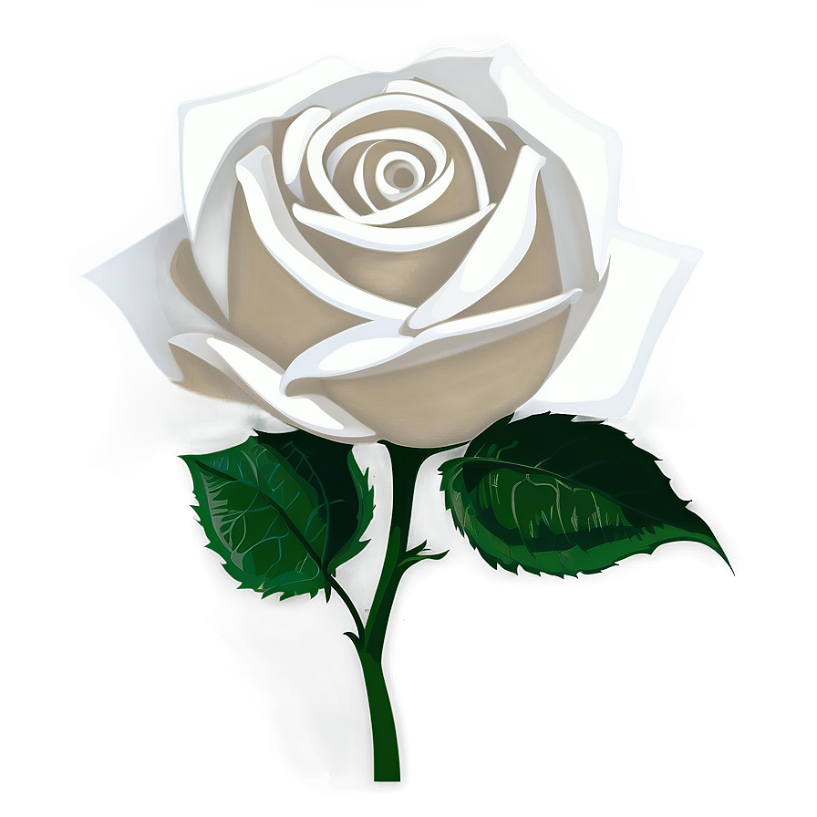 White Rose Clipart Png 21