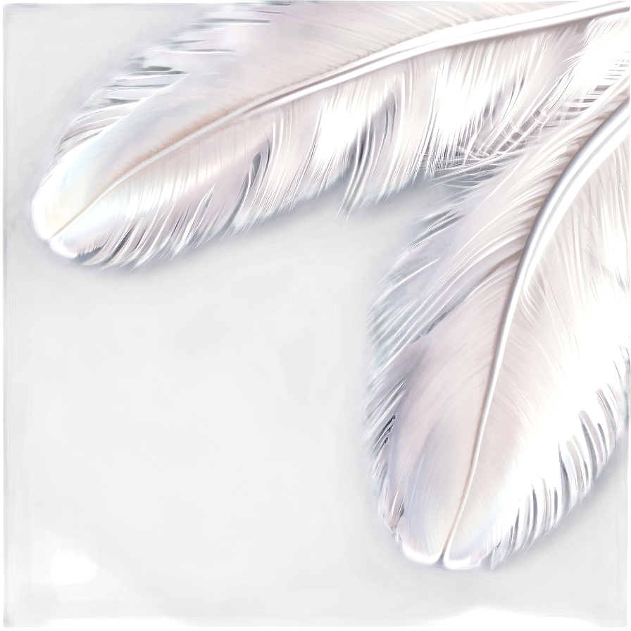 White Swan Feather Png 05042024