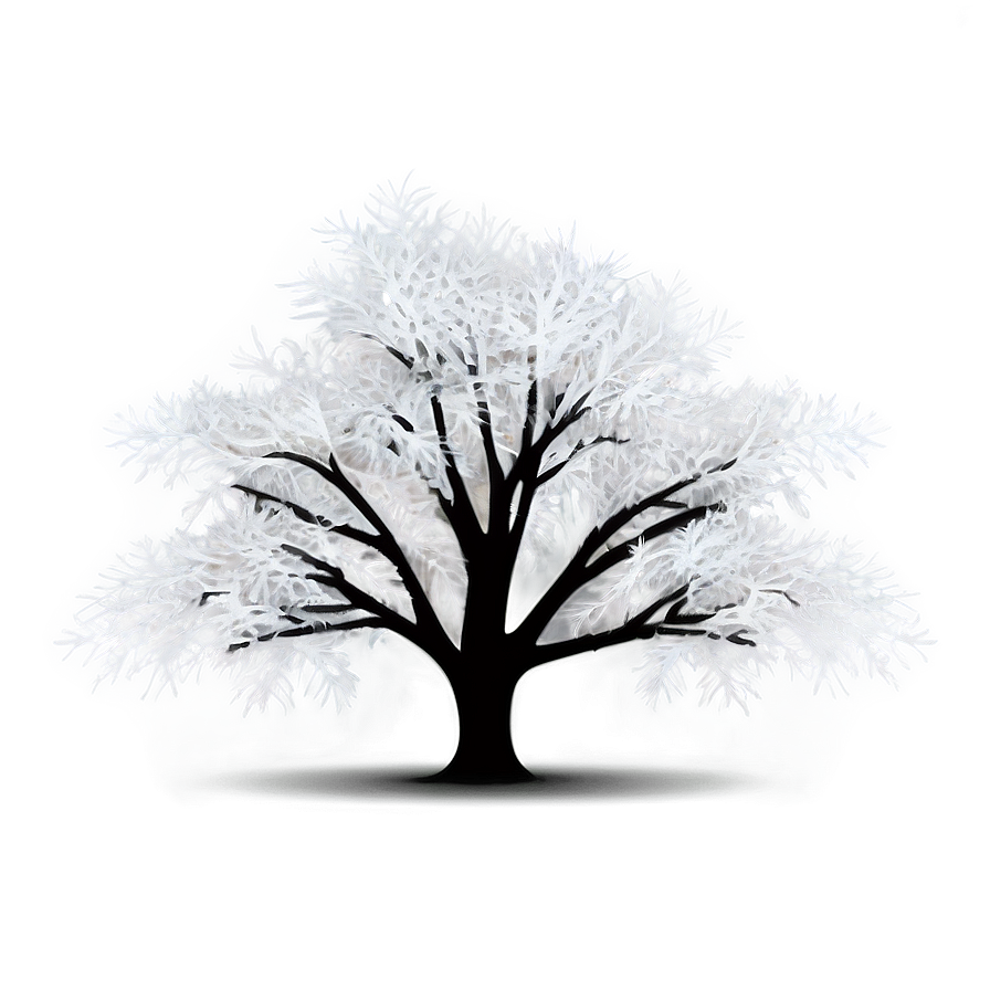 White Tree In Mist Illustration Png 06252024