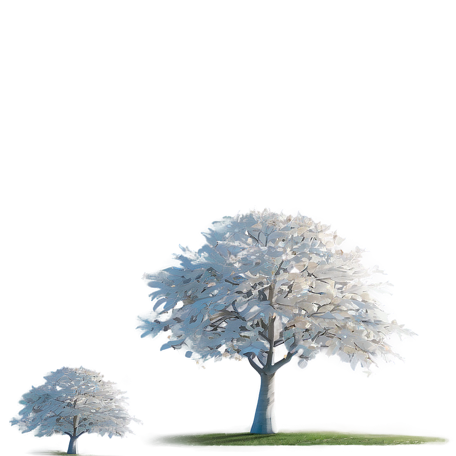 White Tree In Sunlight Glow Png Itn