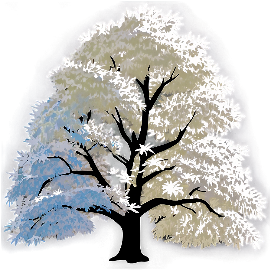 White Tree In Sunlight Glow Png Vgm