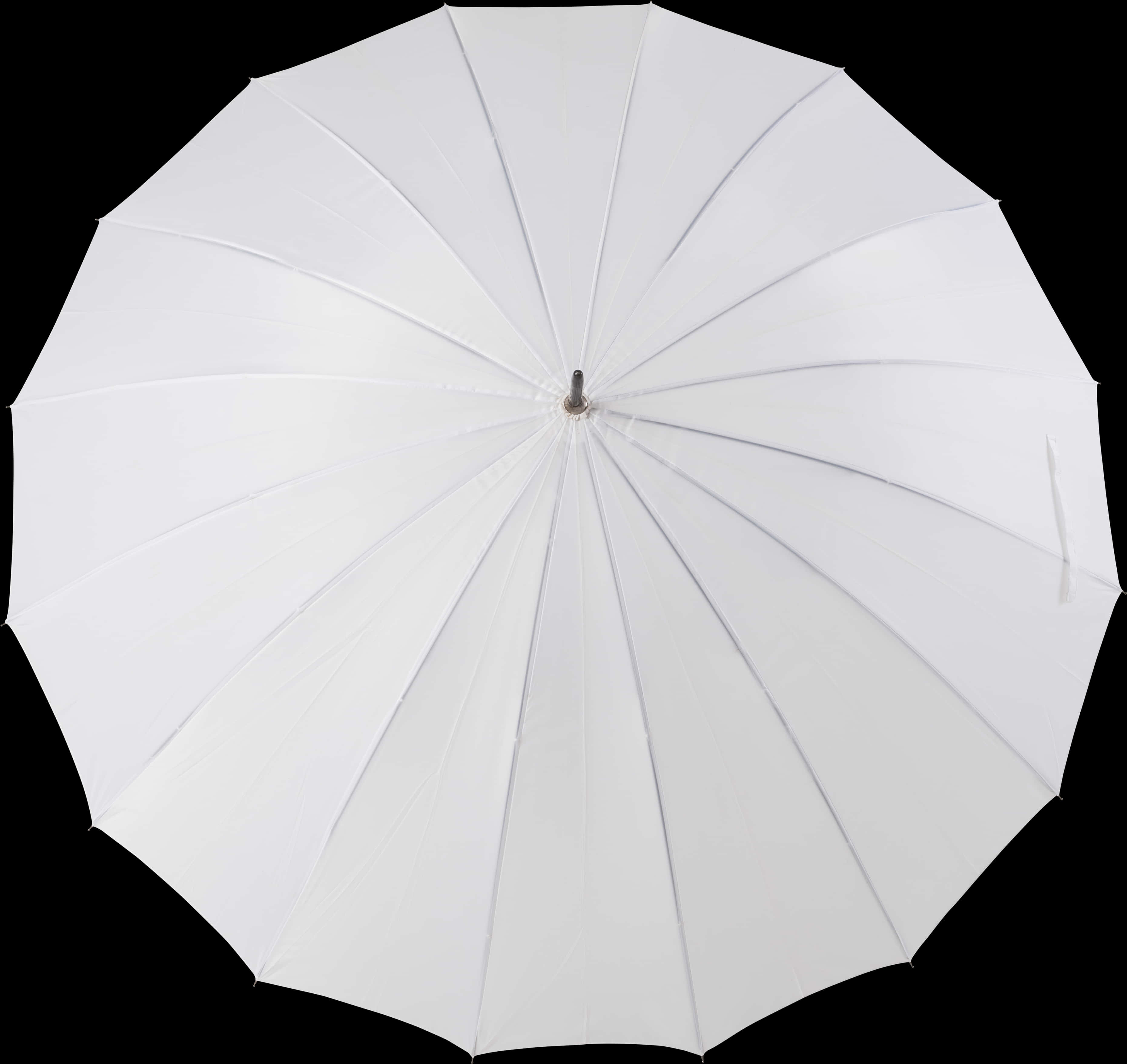 White Umbrella Black Background