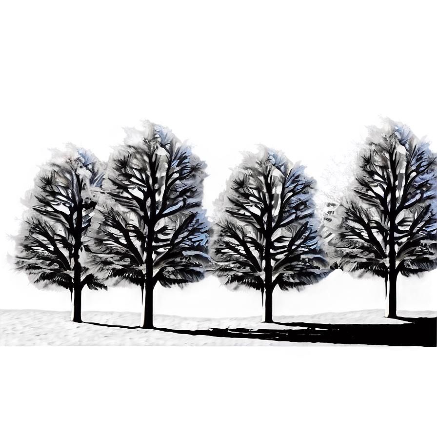 White Winter Trees Png Rpk