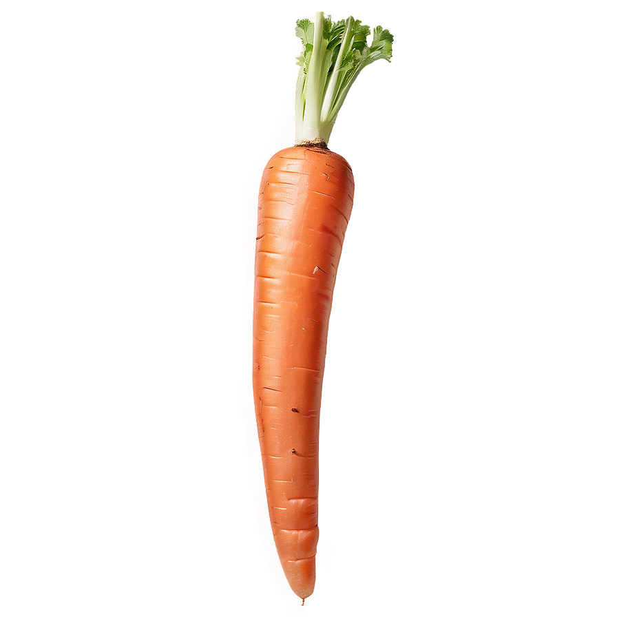 Whole Carrot Png 05242024