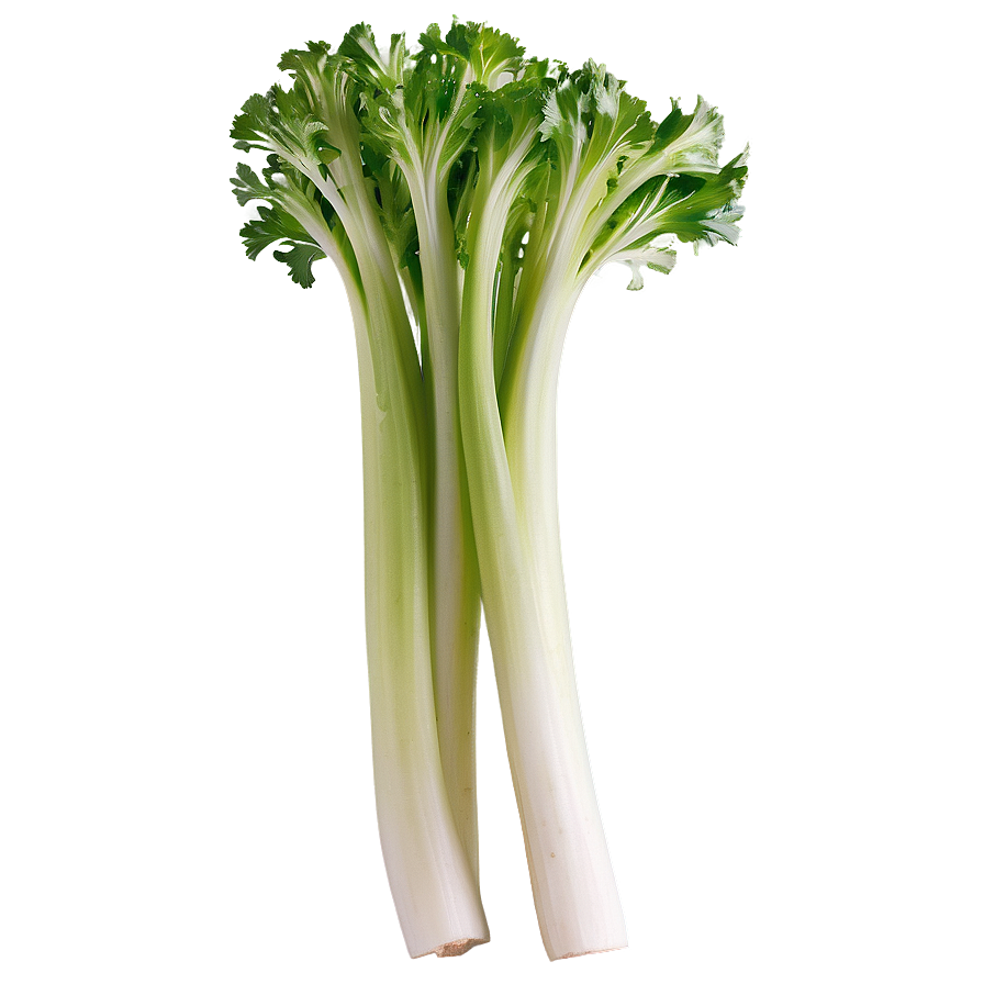 Whole Celery Bunch Png Wtq23