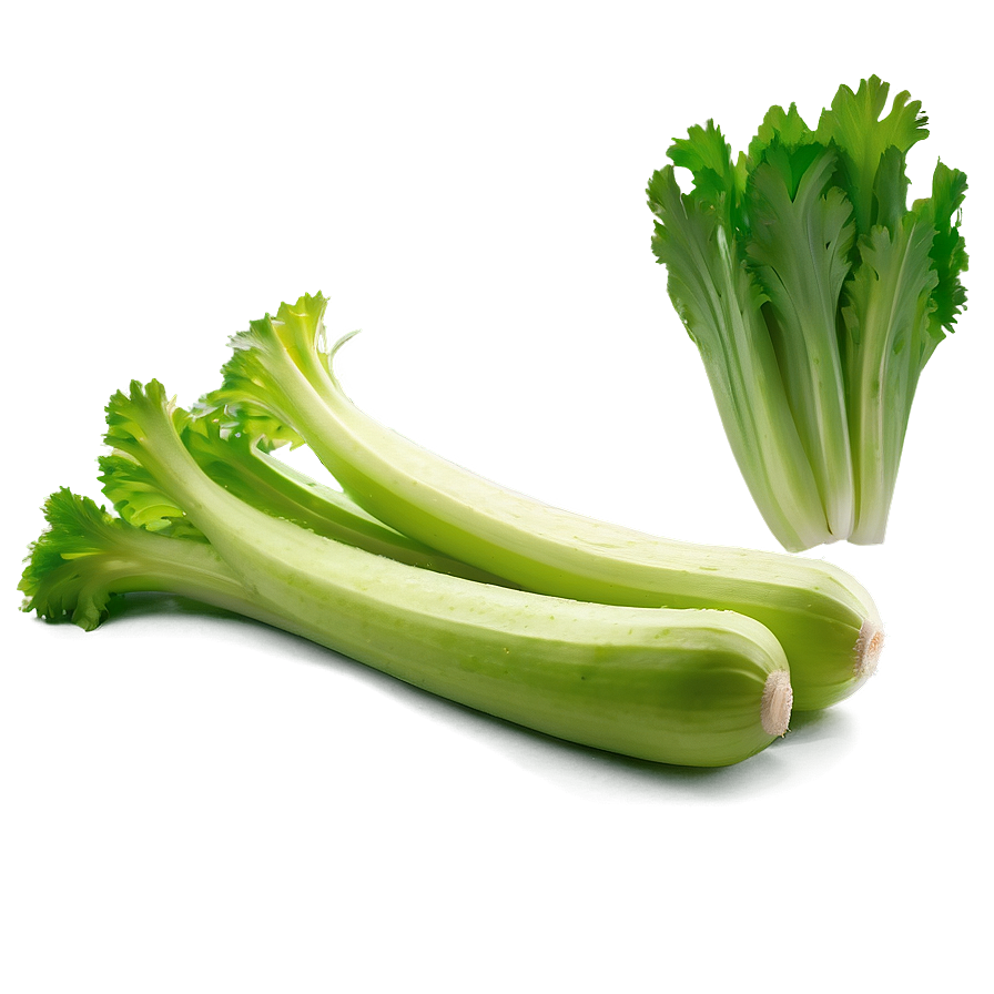 Whole Celery Png Wxx28