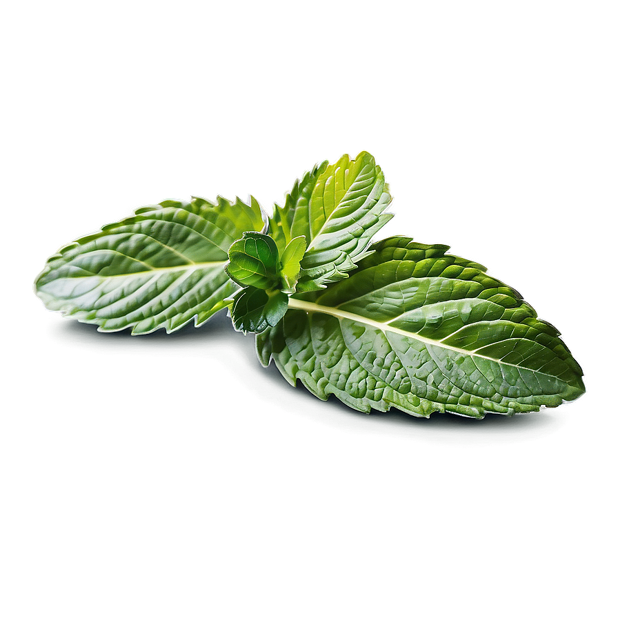 Whole Mint Leaves Png Fma42