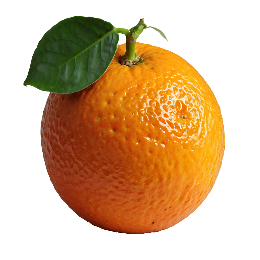 Whole Orange Png 85