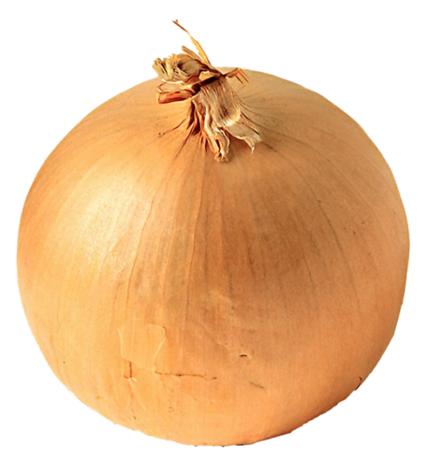 Whole Yellow Onion