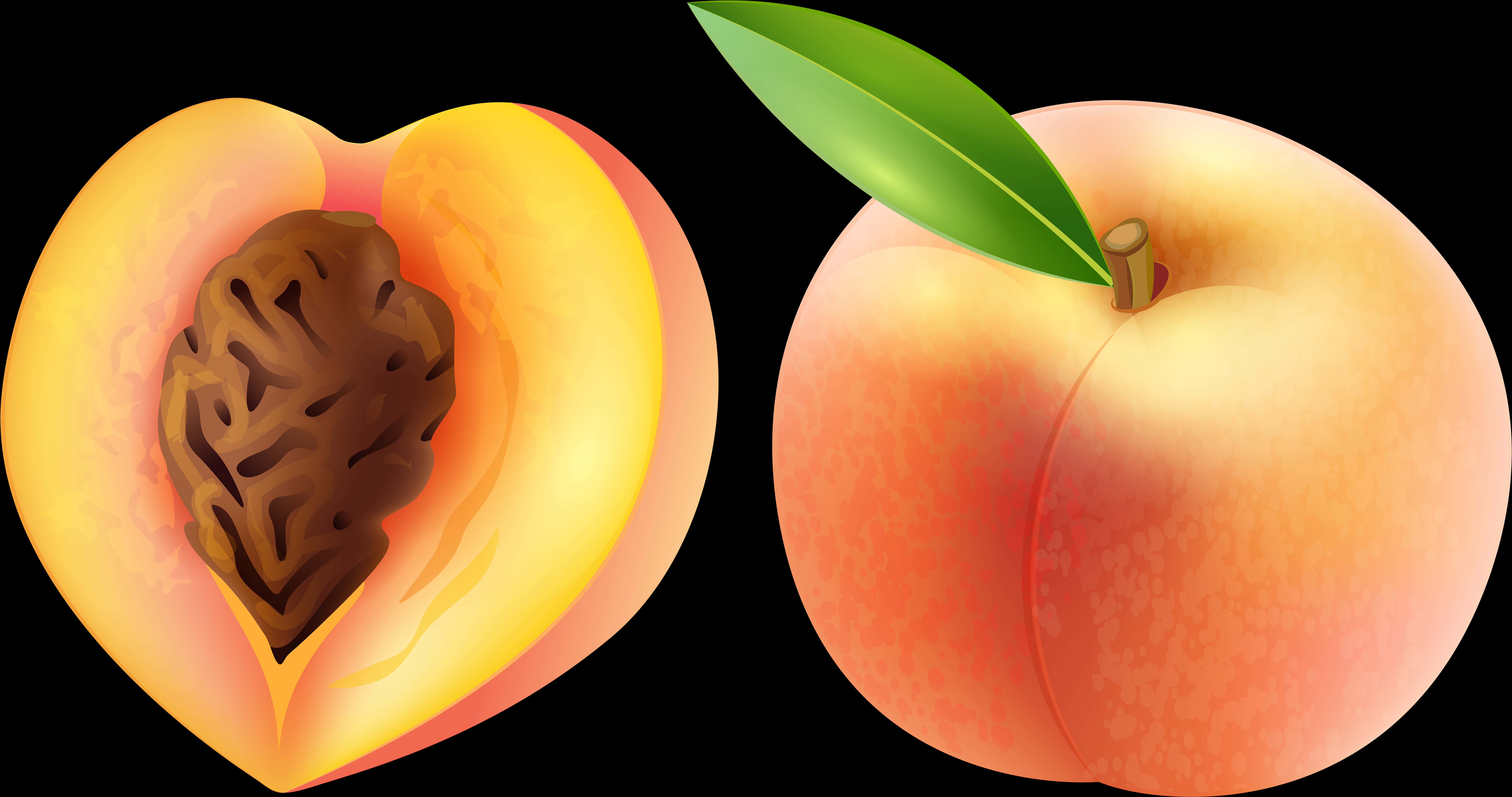 Wholeand Half Peach Illustration