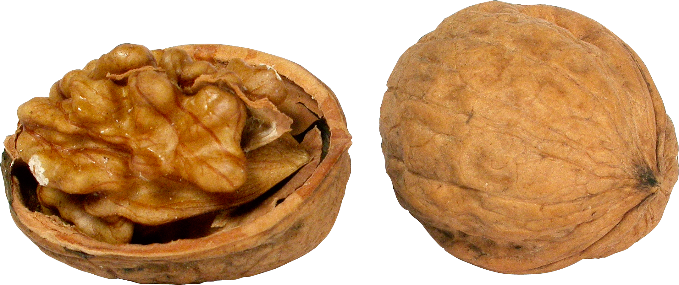 Wholeand Half Walnut